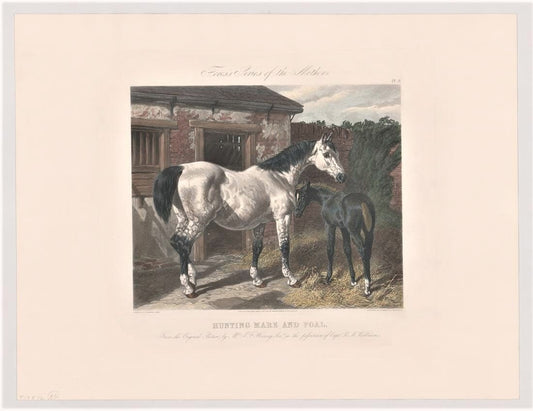 New Restrike of Antique Plates "Fore's Series of the Mothers"  Titled "Hunting Mare and Foal"  1854