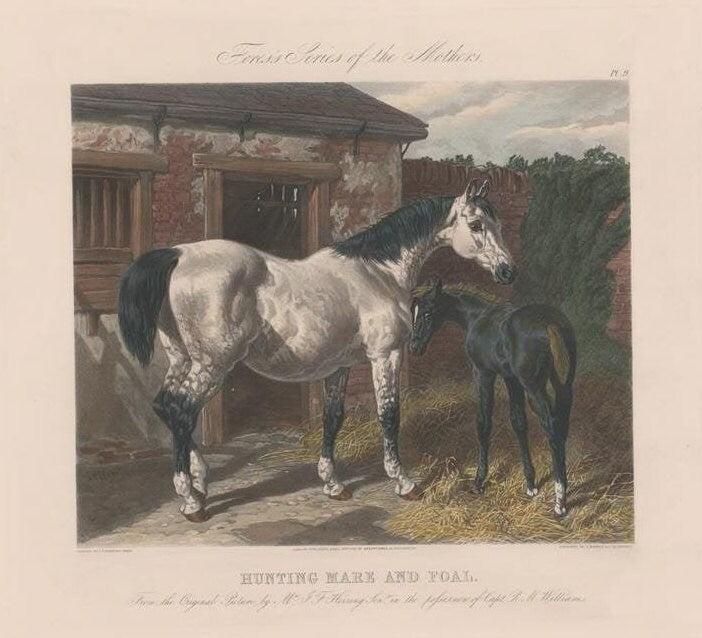 New Restrike of Antique Plates "Fore's Series of the Mothers"  Titled "Hunting Mare and Foal"  1854