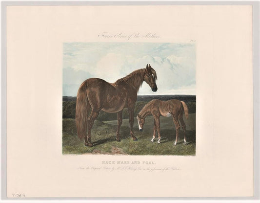 New Restrike of Antique Plates "Fore's Series of the Mothers"  Titled "Hack Mare and Foal"  1854