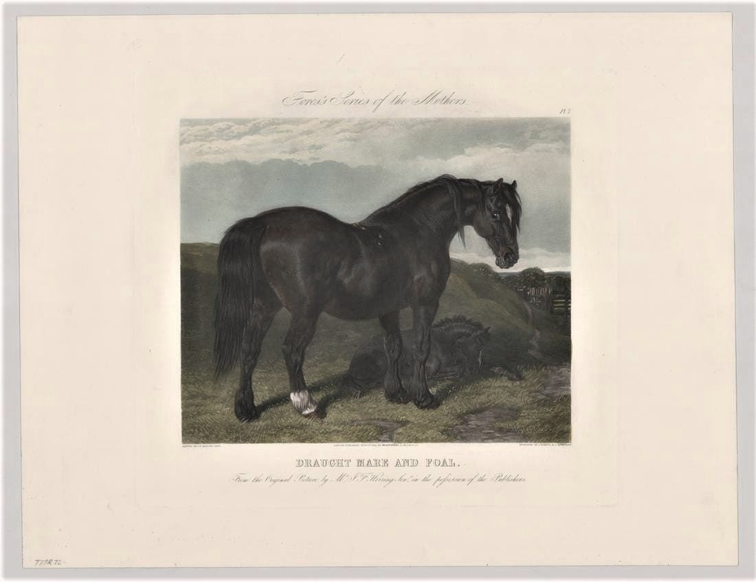 New Restrike of Antique Plates "Fore's Series of the Mothers"  Titled "Draught Mare and Foal"  1854