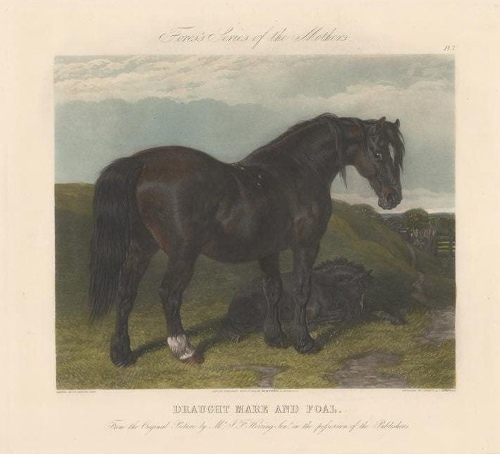 New Restrike of Antique Plates "Fore's Series of the Mothers"  Titled "Draught Mare and Foal"  1854