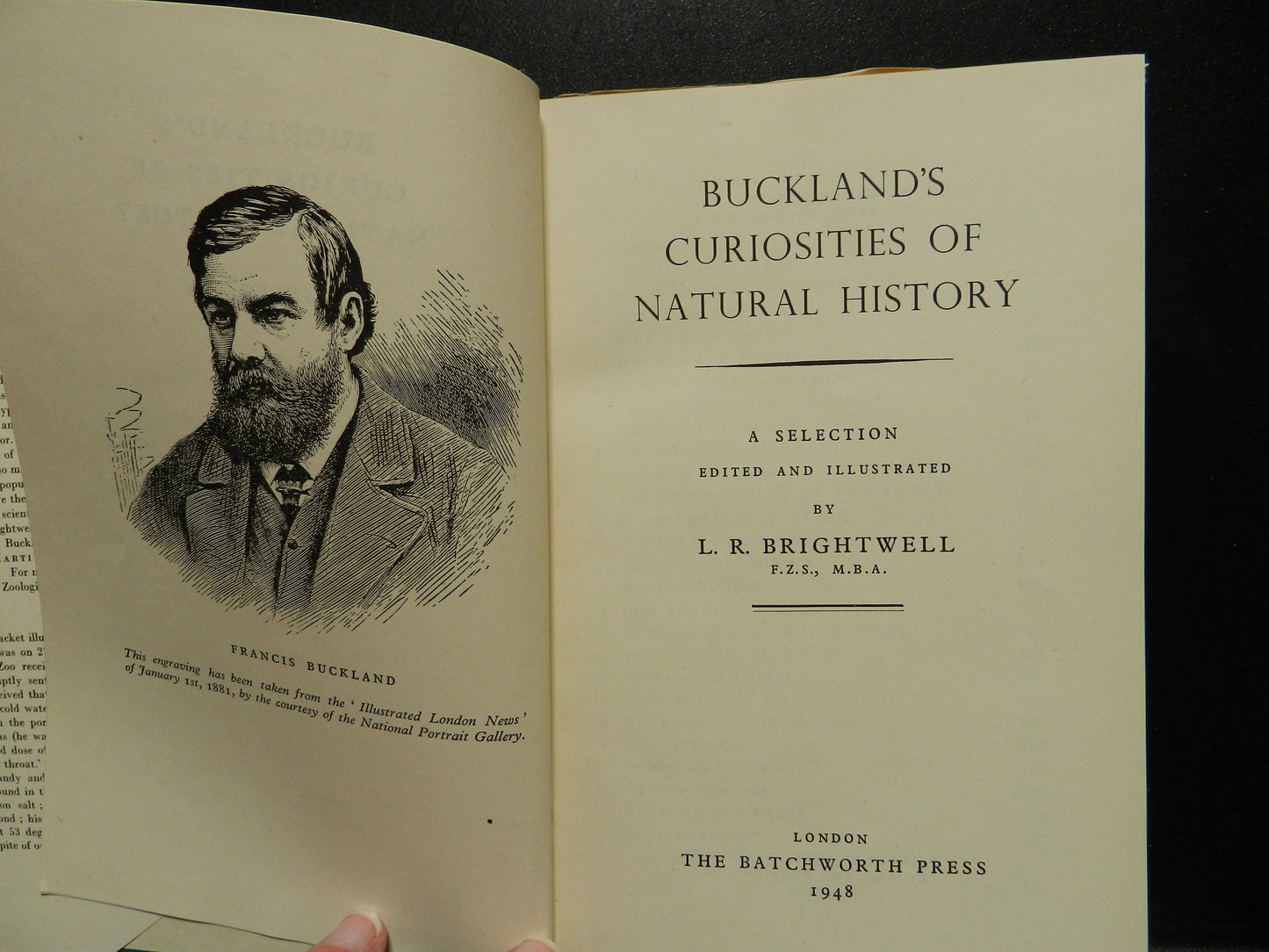 Vintage "Buckland's Curiosities of Natural History"  Book  by Brightwell,  Original DJ