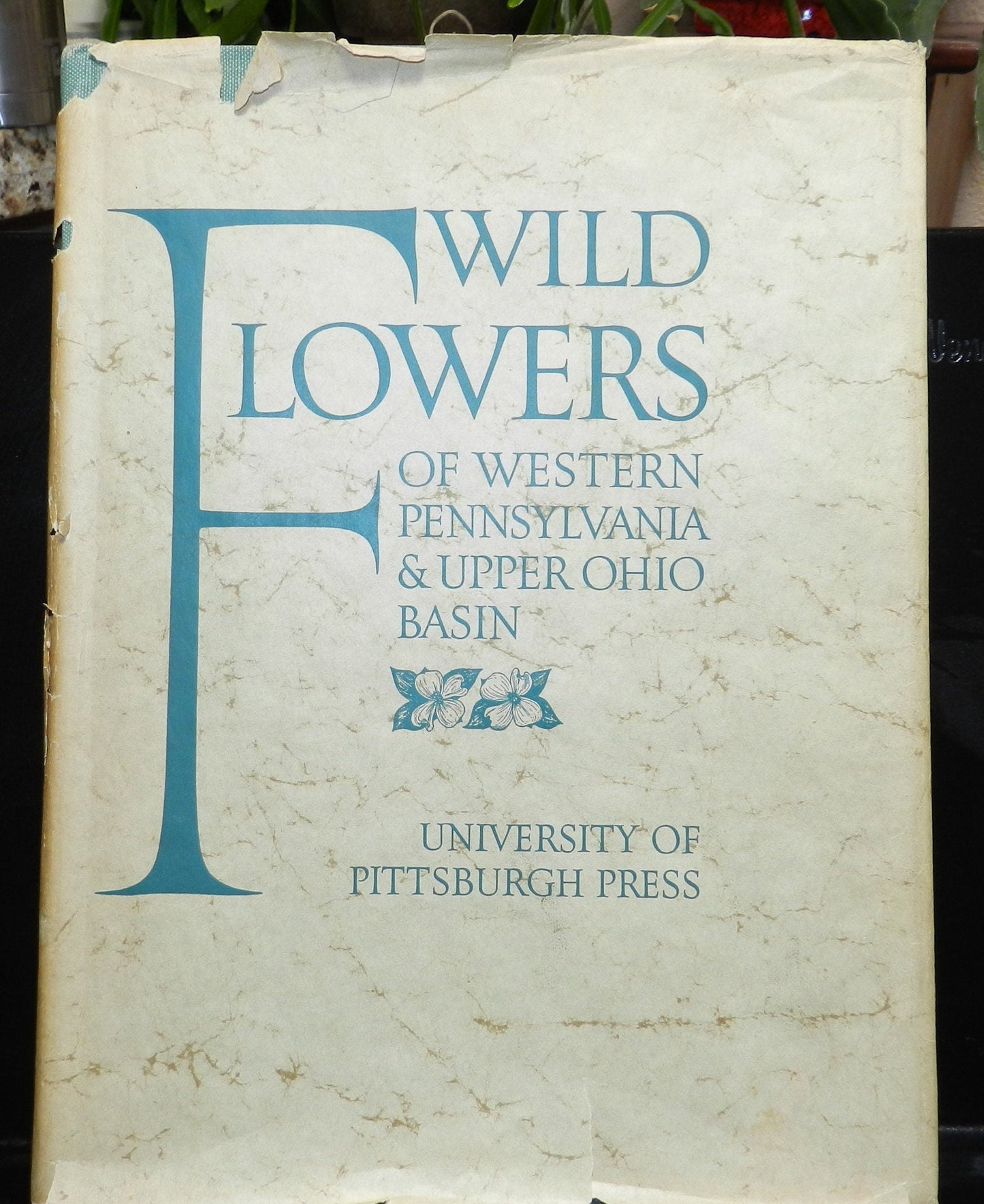 Vintage "Wild Flowers of Western Pennsylvania and the Upper Ohio Basin" First Edition 1953, Vol. 1