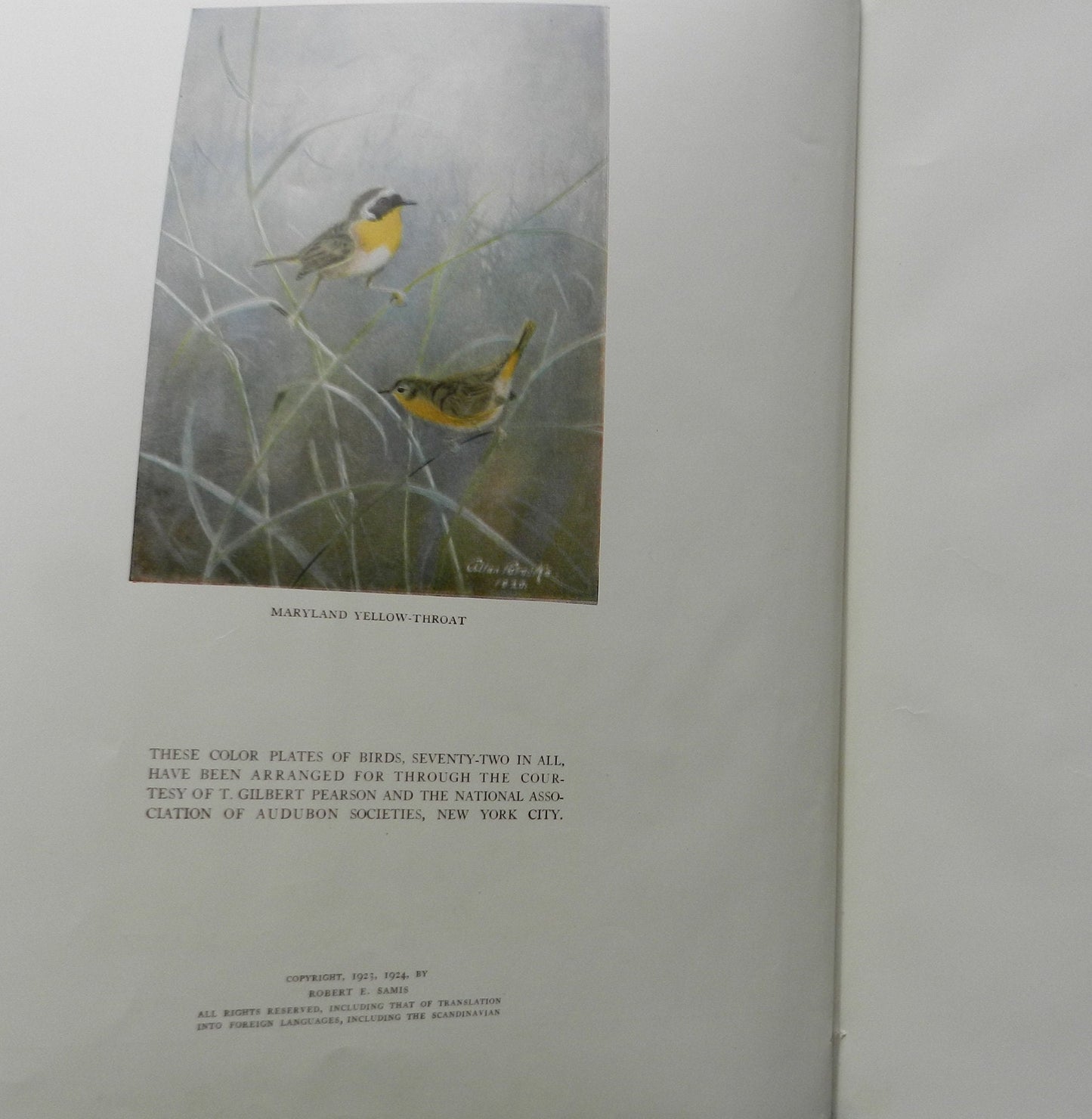 Antique Illustrated "The Bird Foot Race in Follies" by Samis, Robert Self Published  First Edition, 2nd printing 1924