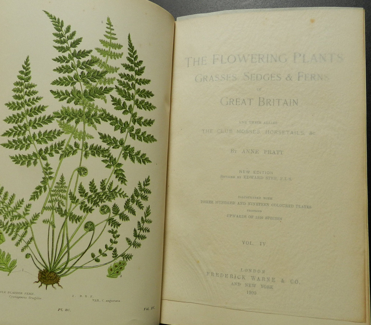 Vintage Book " The Flowering Plants Grasses, Sedges & Ferns of Great Britain" by Anne Pratt  Illustrated Vols. II and IV  1900