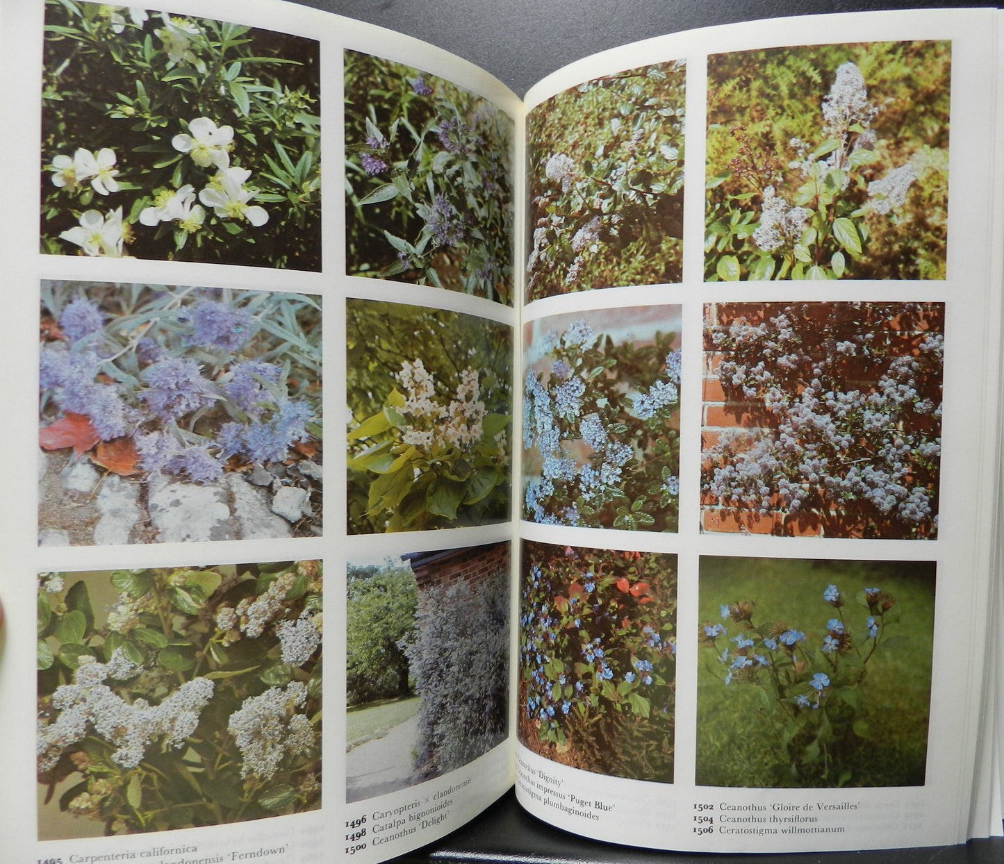 Vintage "The Colour Dictionary of Garden Plants"  By Hay & Synge with The Royal Horticultural Society