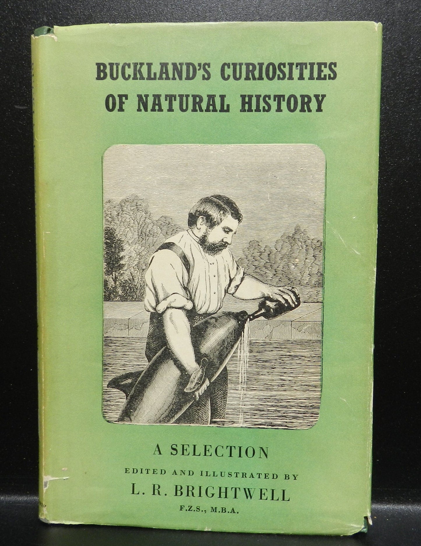 Vintage "Buckland's Curiosities of Natural History"  Book  by Brightwell,  Original DJ