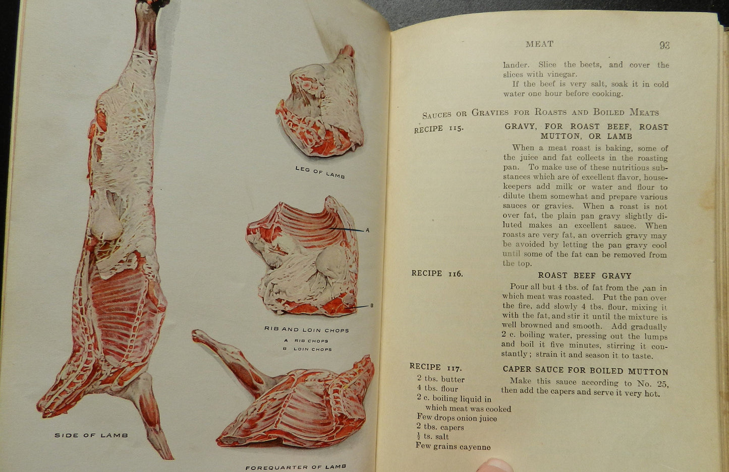 Antique "Household Science and Arts"  By Morris - 2nd Edition 1913 -  Retro Food Cooking Lessons