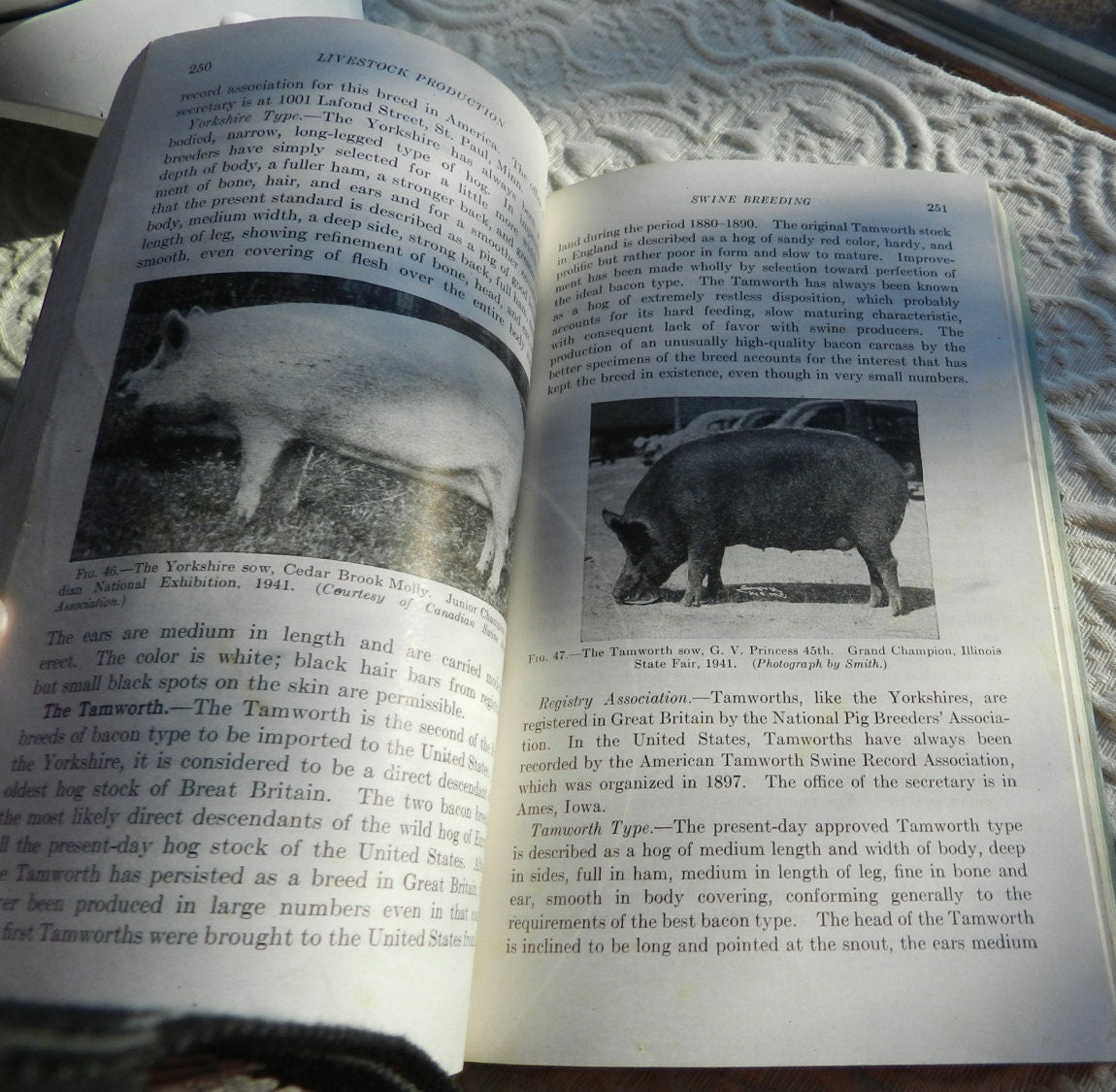 Vintage Manual "Livestock Production" EM 852  1944